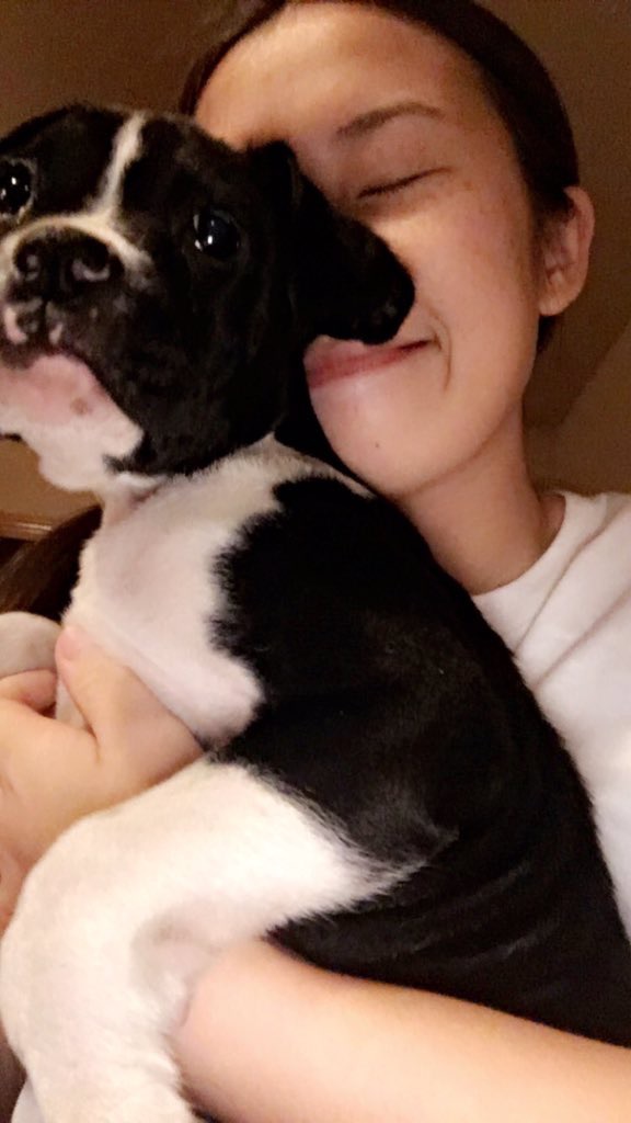 Cutest Pet Contest Photo Gallery
