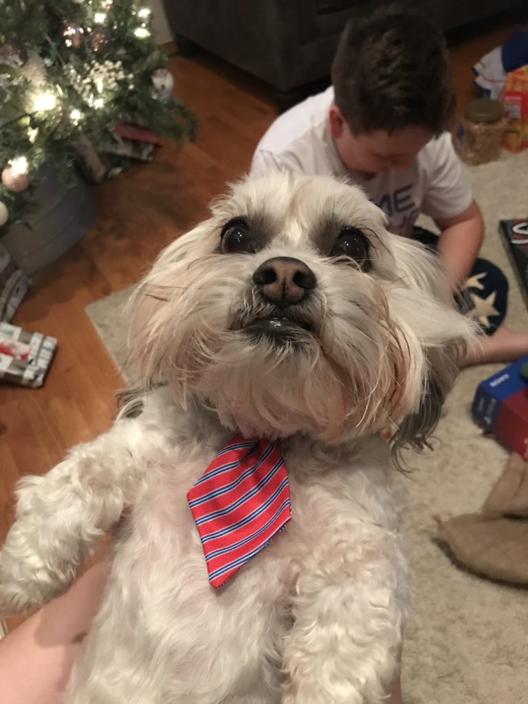 Cutest Pet Contest Photo Gallery