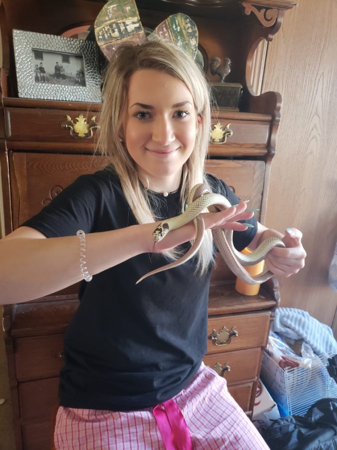 Willmott holds a California King snake named Cal. He is one of 23 different species of animals Willmott has at her house. 