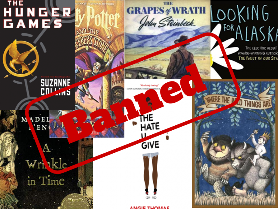 Examples of books that have been banned in the past. Books are often banned or challenged for sexually explicit content, language, or the book is unfit for an age group.