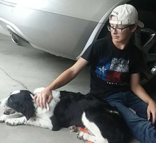 Students bring home new pets during quarantine