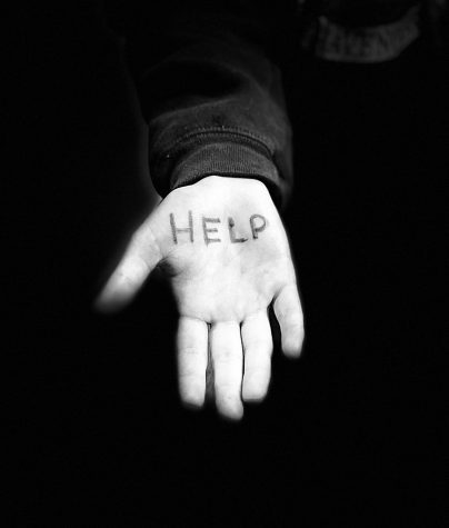 Image by Claudia Stirewalt and Paige Harrington