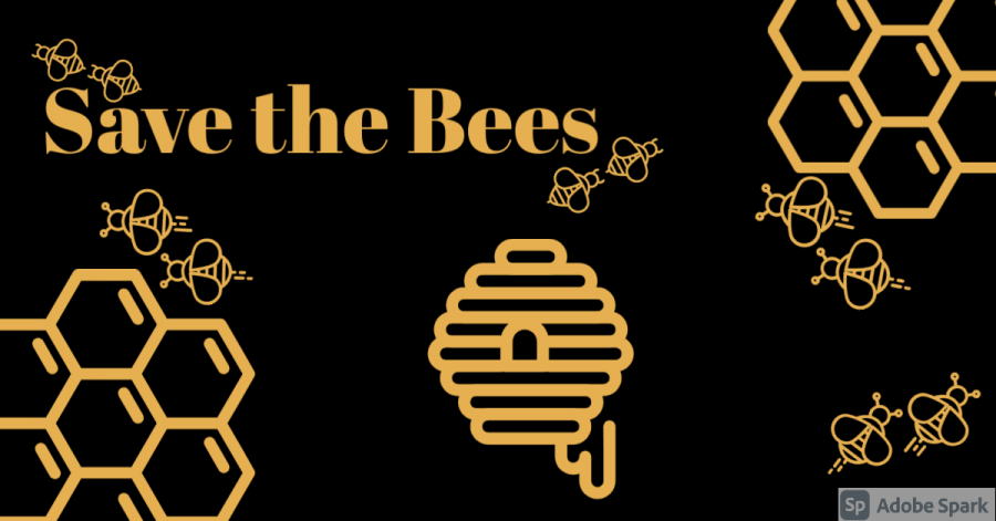 Save+the+bees