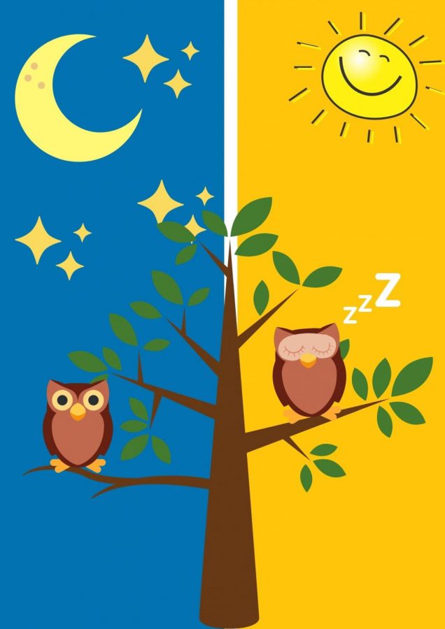 Night owls stay up late during the night and early mornings to do assignments and tend to not get enough sleep. Drowsiness sets in during the daytime while at school, work and extracurricular activities outside of school.