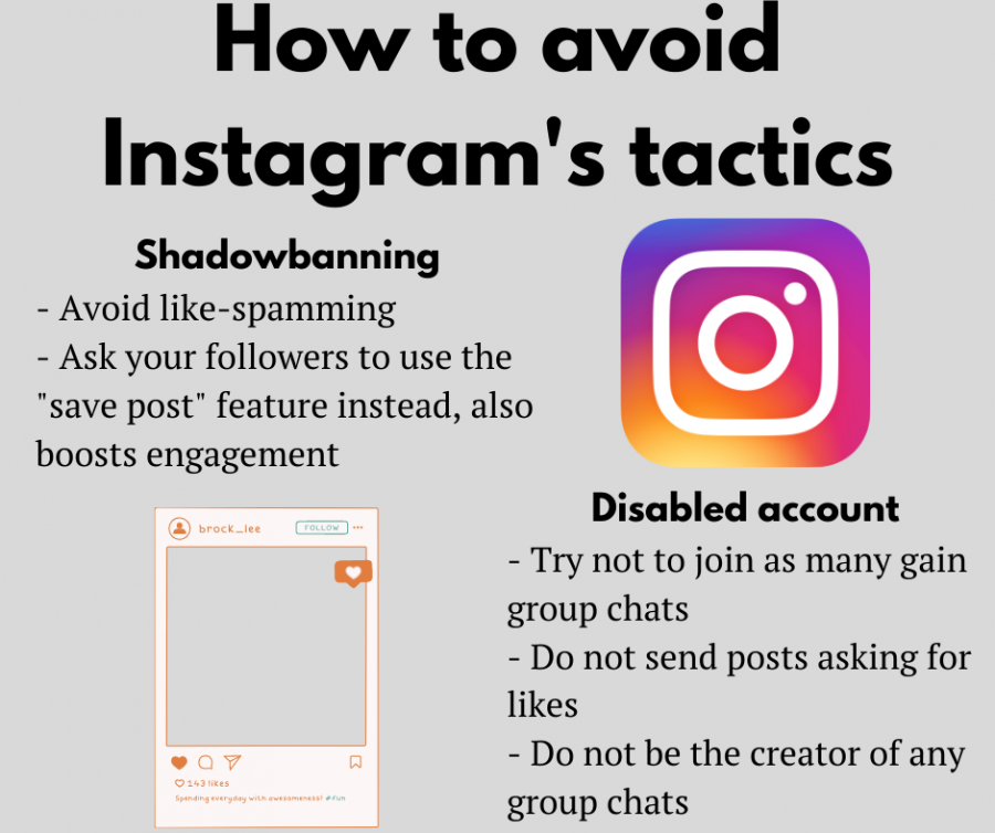 Instagram policies hurt small businesses