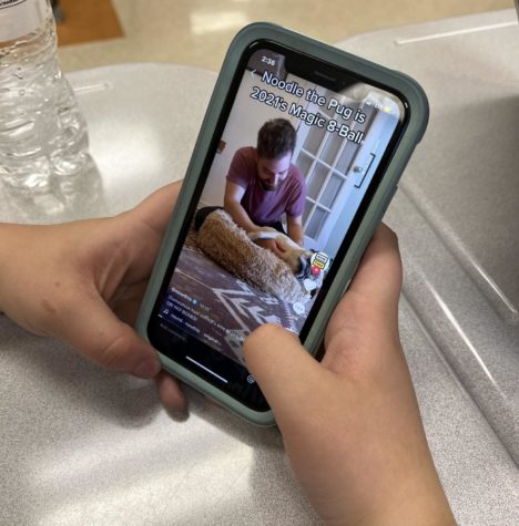 Senior Kirsten Woodard looks on TikTok to see Noodles the pug choose if it is a bones day or not. Noodles fans check TikTok daily just to see if Noodle will stand up or fall down. 