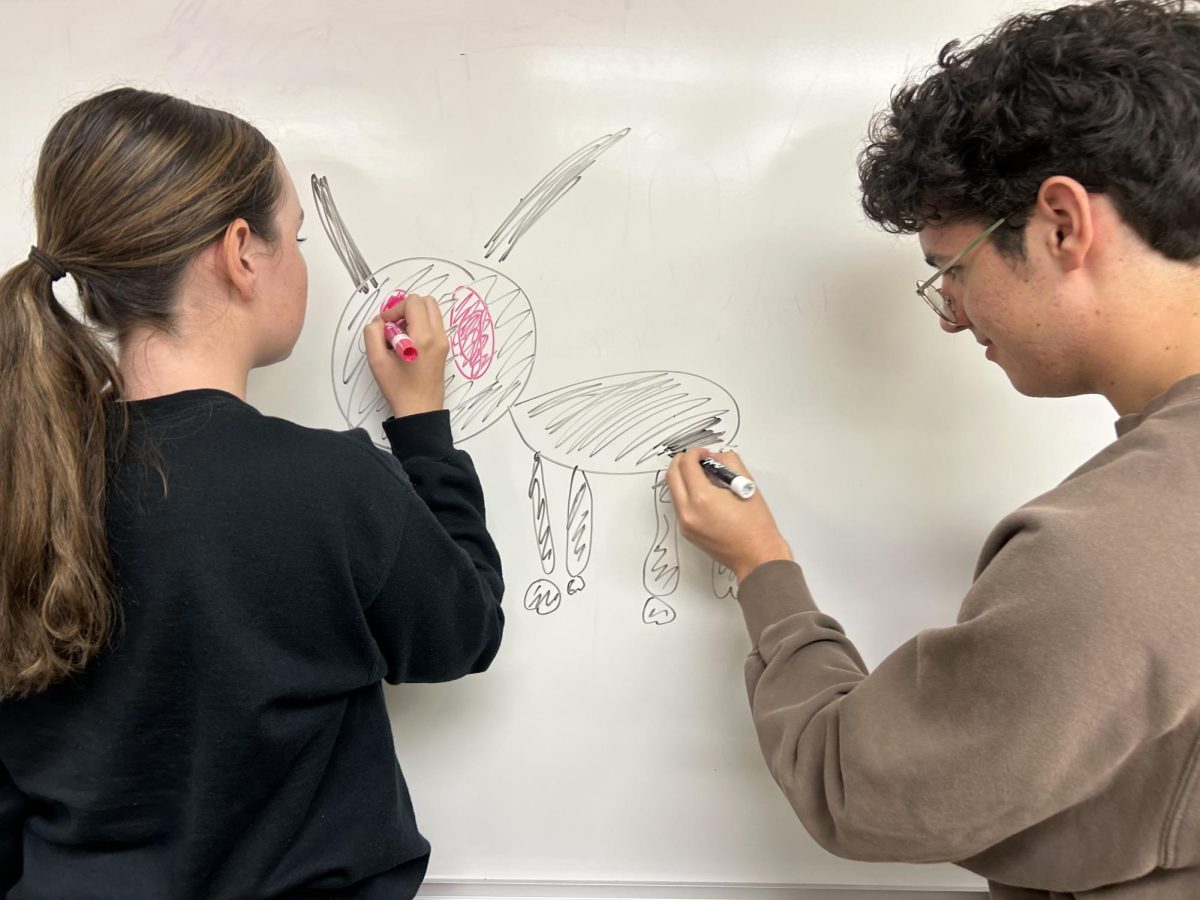 Reporter Isaac Basquez and Managing Editor Rachel Womeldorff drawing their recreation of hip-hop artist Drake’s “For All the Dogs” album cover. They have mixed feelings about the album.