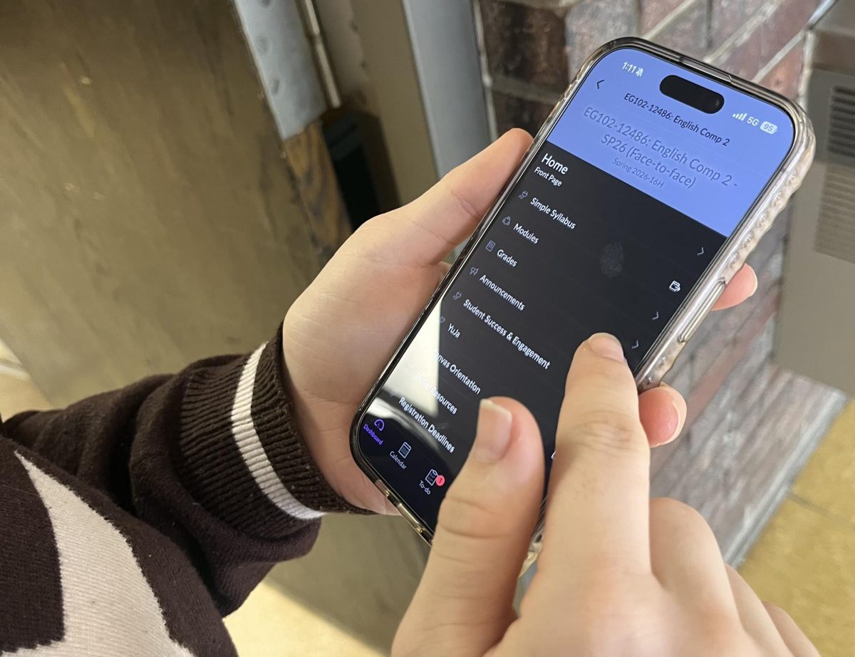 Senior Adelie McQueen searches for her college English assignment. The high school provides multiple in person and fully online college classes.